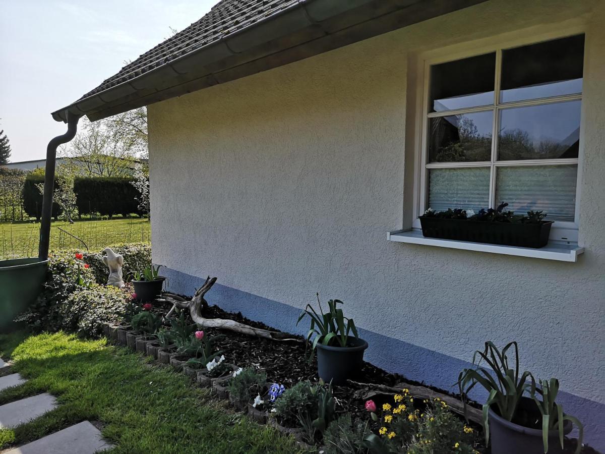 Boddenhus Auf Ruegen - Ferienwohnungen Und Pension Rappin Exterior foto