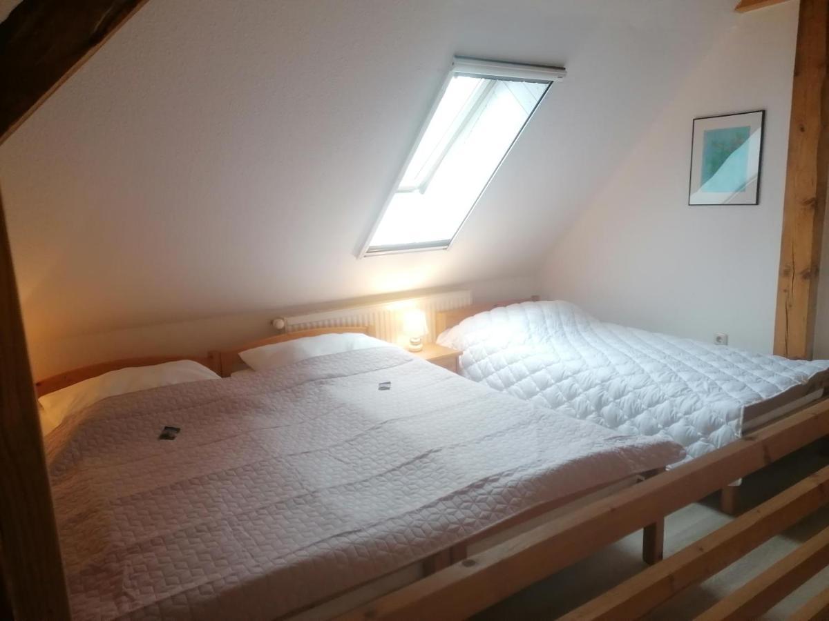 Boddenhus Auf Ruegen - Ferienwohnungen Und Pension Rappin Exterior foto