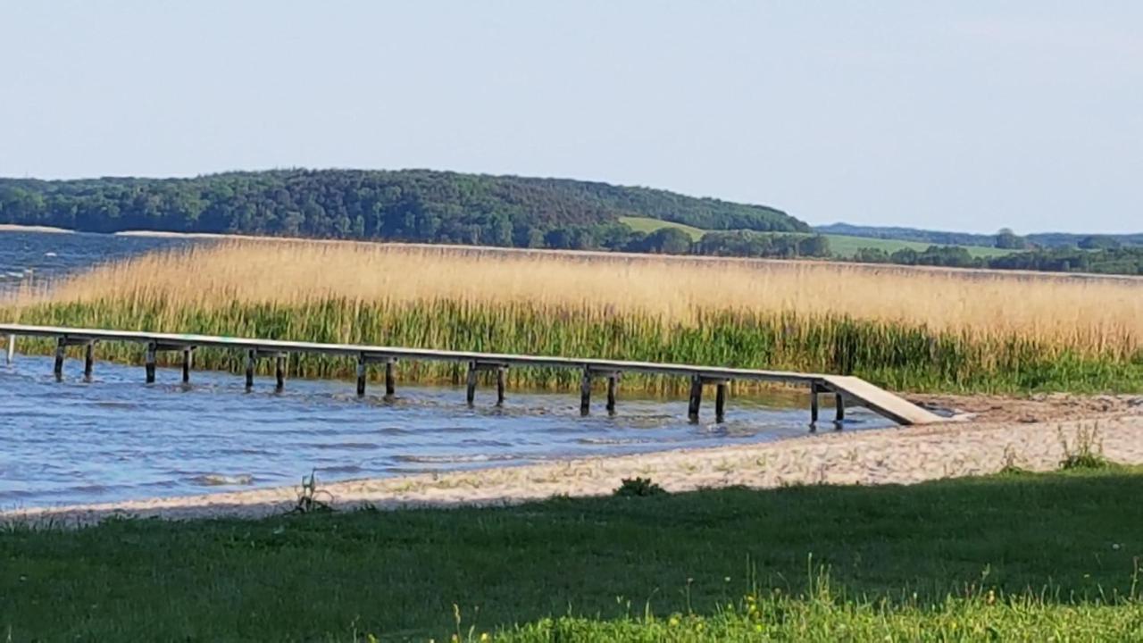 Boddenhus Auf Ruegen - Ferienwohnungen Und Pension Rappin Exterior foto